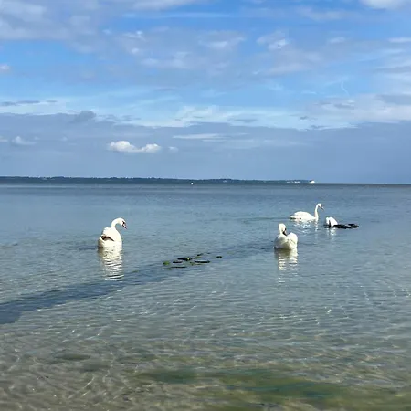 Aloha Paradies Erste Strandlinie Mit Direktem Meerblick Im Neubau, Glowe, Ostsee Apartment